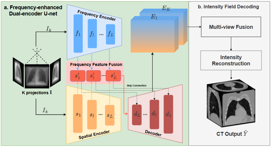 DuFal: Dual-Frequency-Aware Learning for High-Fidelity Extremely Sparse-view CBCT Reconstruction